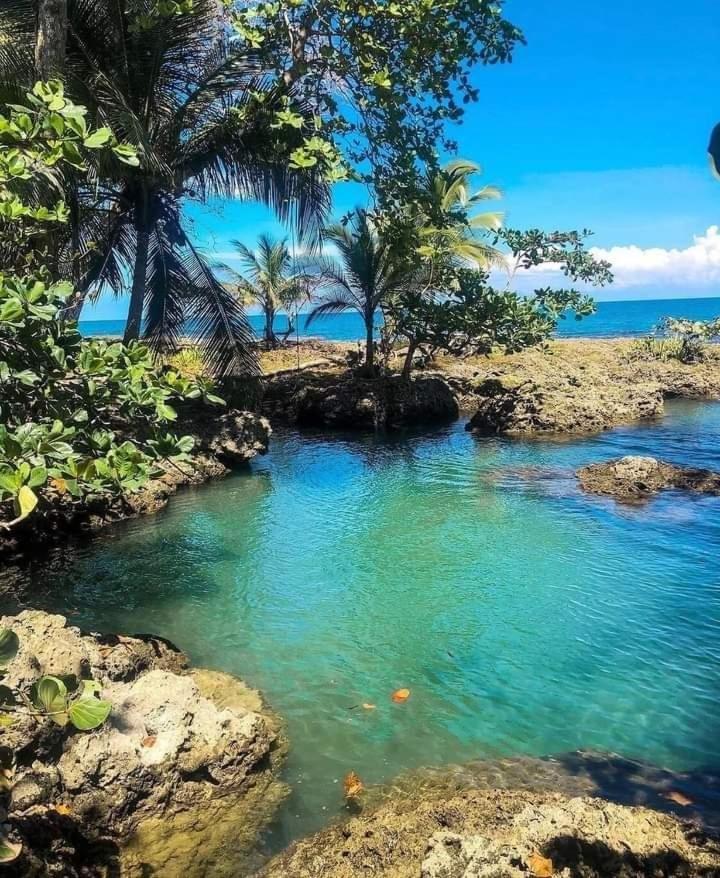 Hotel Cahuita Extérieur photo
